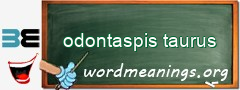 WordMeaning blackboard for odontaspis taurus
